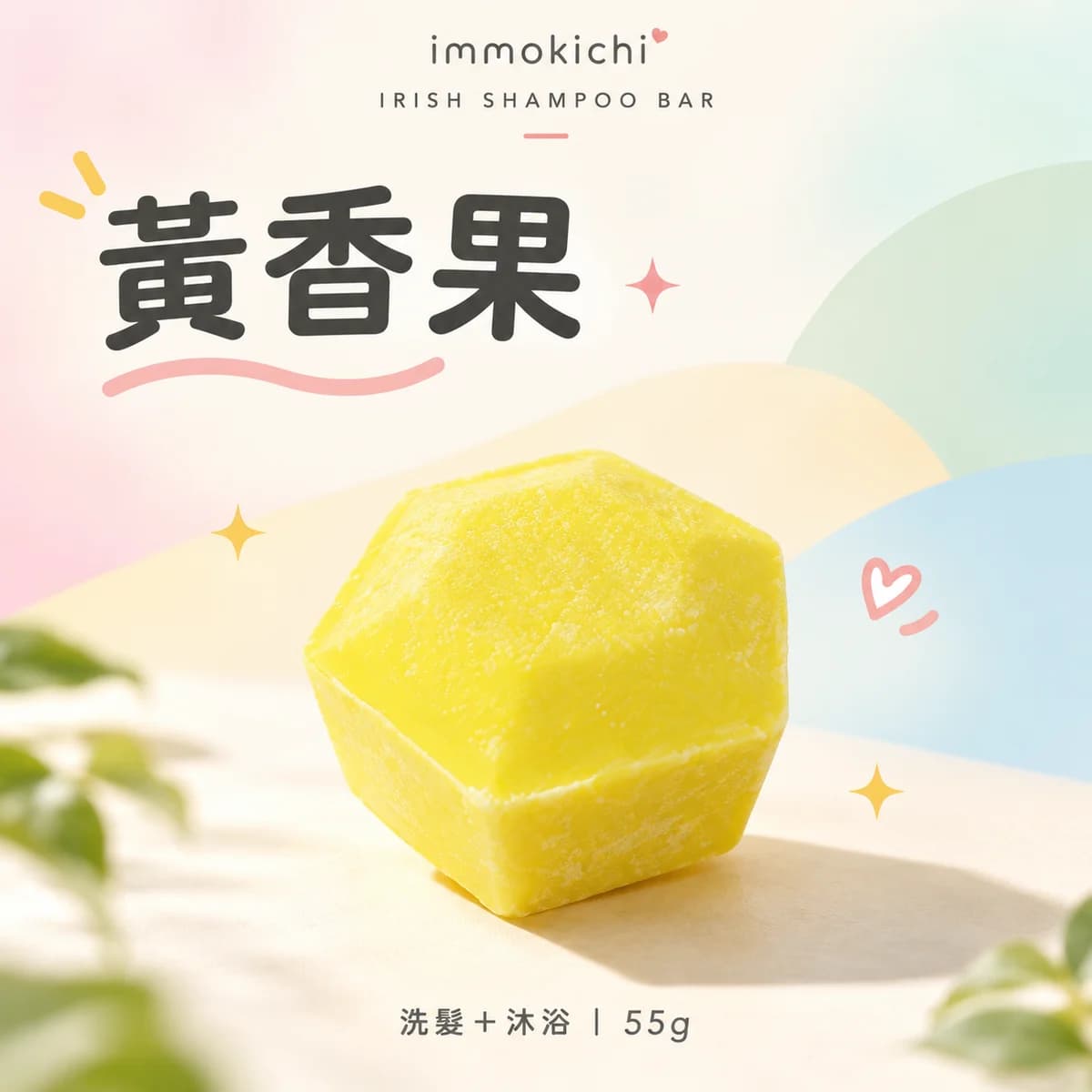 旅行盥洗組|掛式盥洗包+IRISH 洗髮餅 | Travel Toiletry Set 8