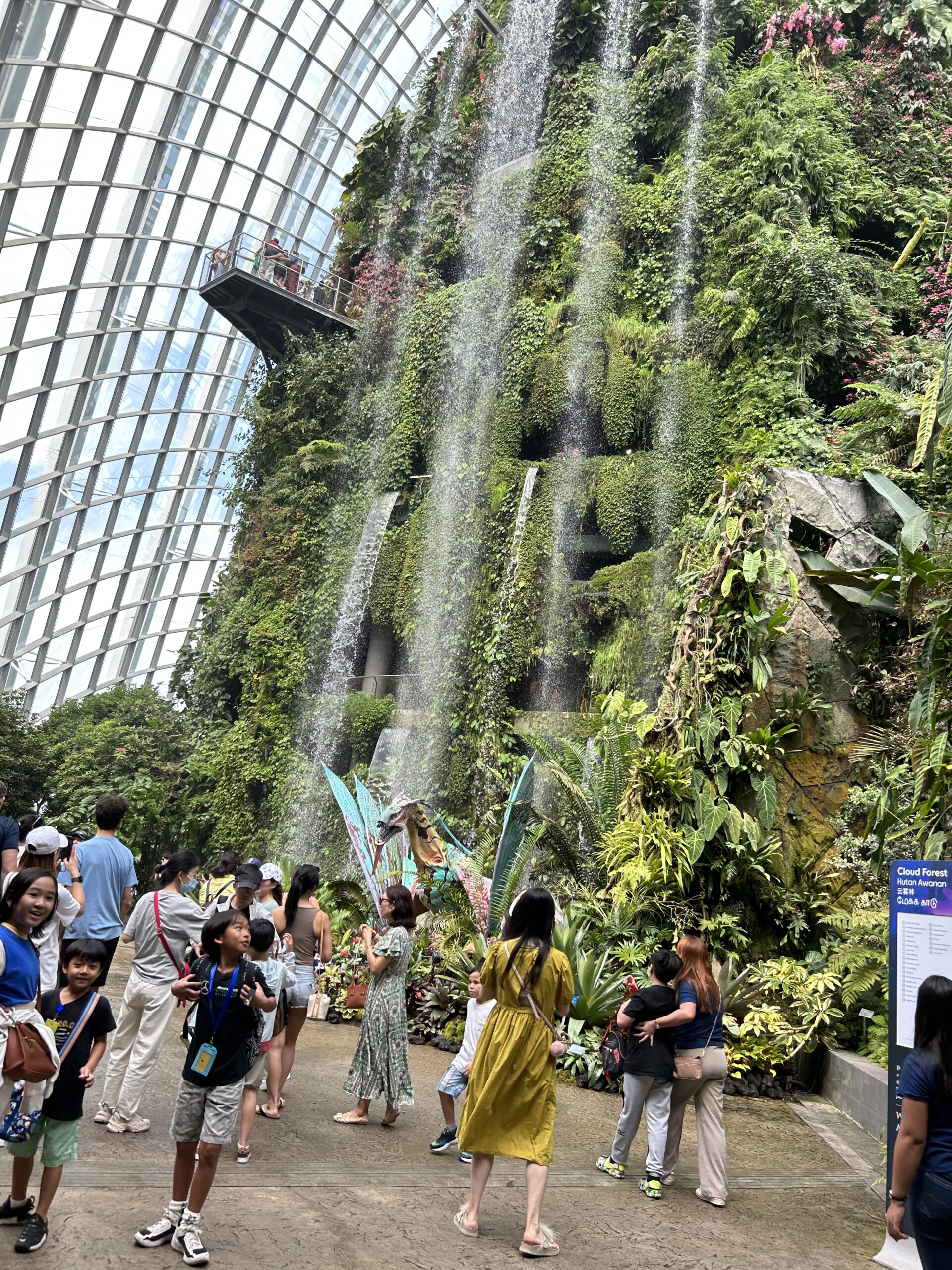 雲霧森林 Cloud Forest